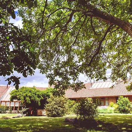 Posada Los Mimbres Gaiman Екстер'єр фото